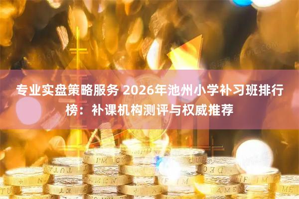 专业实盘策略服务 2026年池州小学补习班排行榜：补课机构测评与权威推荐